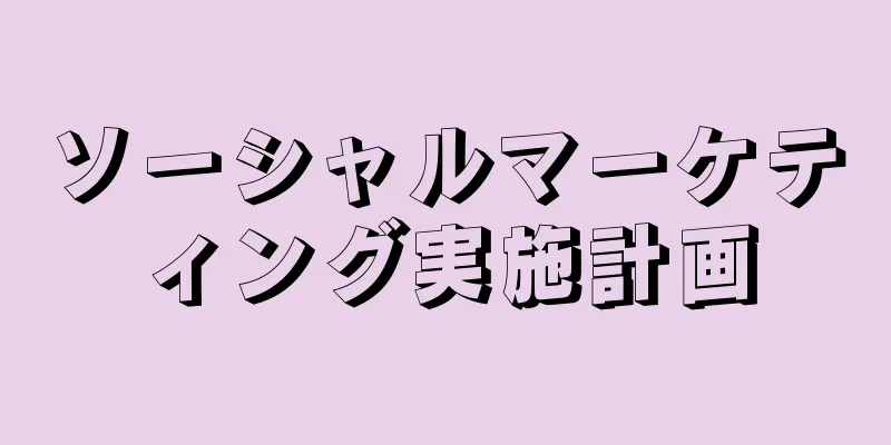 ソーシャルマーケティング実施計画