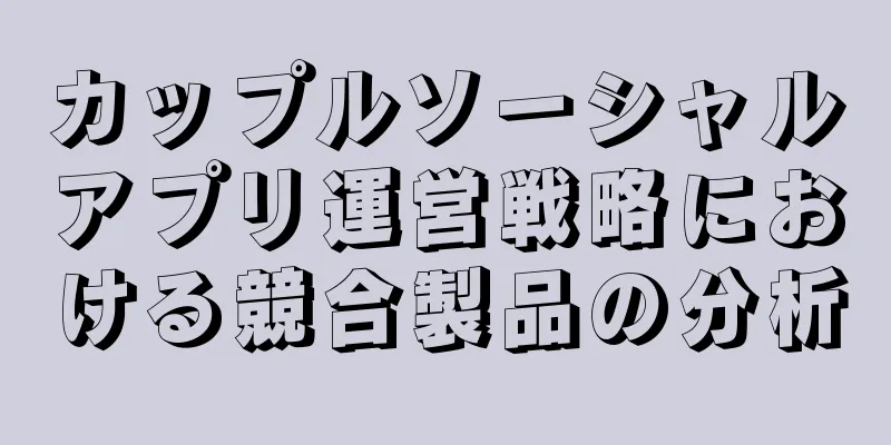 カップルソーシャルアプリ運営戦略における競合製品の分析