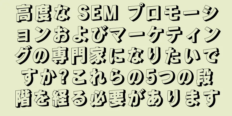 高度な SEM プロモーションおよびマーケティングの専門家になりたいですか?これらの5つの段階を経る必要があります