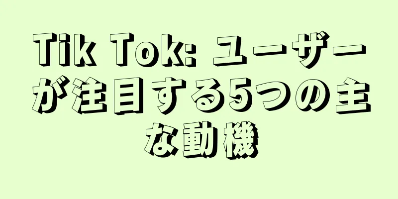 Tik Tok: ユーザーが注目する5つの主な動機