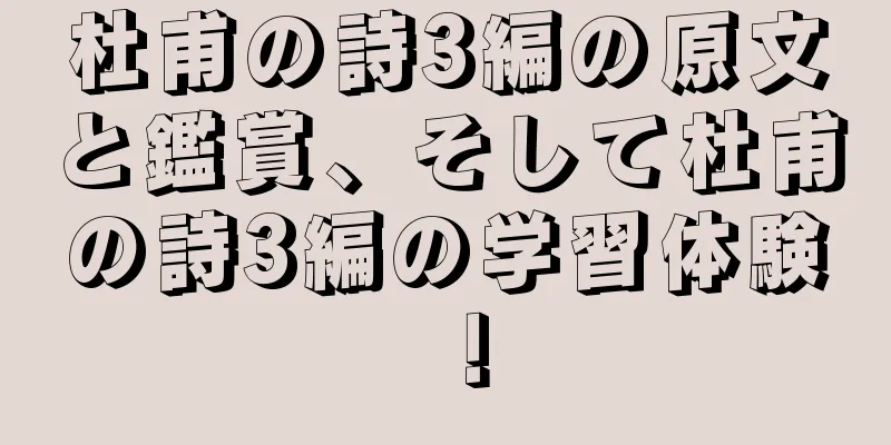 杜甫の詩3編の原文と鑑賞、そして杜甫の詩3編の学習体験！